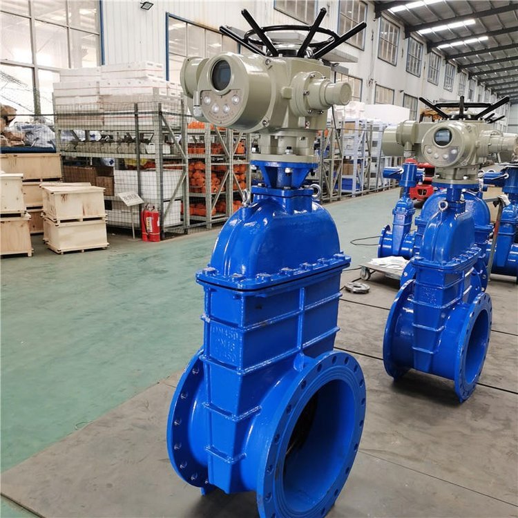 電動閘閥Z941h -64 DN500（石化行業、煉油廠、化工廠）